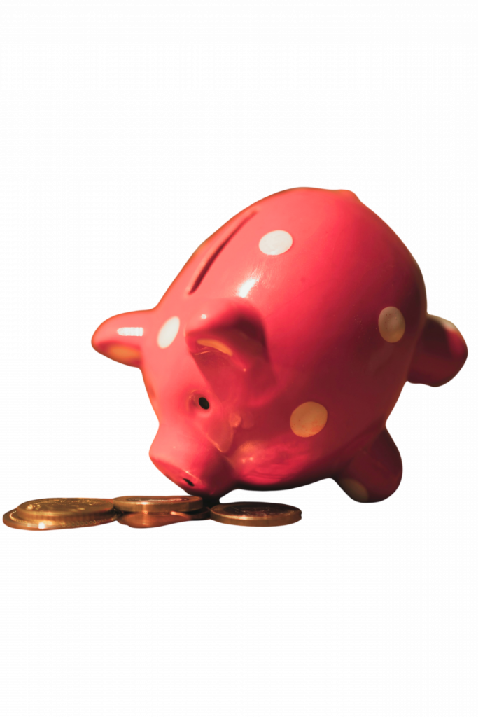 ein Sparschwein, welches so ausgerichtet ist, dass es aussieht als würde es an dem Münzgeld riechen, das vor ihm liegt. Es symbolisiert eine eventuelle Steuerrückzahlung.